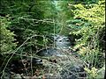 Das Bodetal vom Eingang Treseburg zum Naturschutzgebiet Bodetal