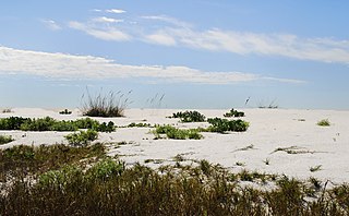 <span class="mw-page-title-main">Cayo Costa State Park</span> State park in Florida, United States