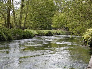 <span class="mw-page-title-main">River Blackwater (River Loddon)</span> Tributary of the River Loddon in England