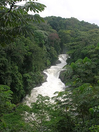 <span class="mw-page-title-main">Cross River National Park</span> National park in Nigeria