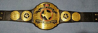 <span class="mw-page-title-main">NWA Texas Heavyweight Championship</span> Professional wrestling championship