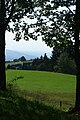 Blick von Oberbildstein auf den Bodensee