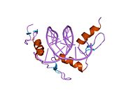 PDB 1a1l EBI.jpg