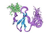 PDB 1k9q EBI.jpg