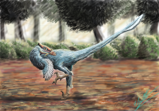 <i>Pamparaptor</i> Extinct genus of dinosaurs