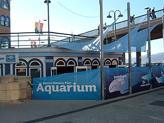 <span class="mw-page-title-main">Heal the Bay Aquarium</span> Zoo in California, USA