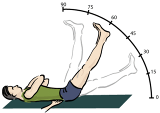 <span class="mw-page-title-main">Straight leg raise</span> Body movement and diagnostic test