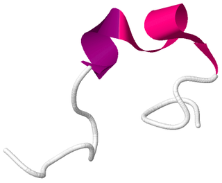 <span class="mw-page-title-main">Obestatin</span> Hormone that is produced in the stomach