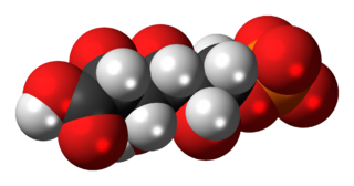 <span class="mw-page-title-main">6-Phosphogluconic acid</span> Chemical compound