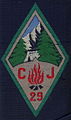 Insigne du CJF 29 - Groupe 4.