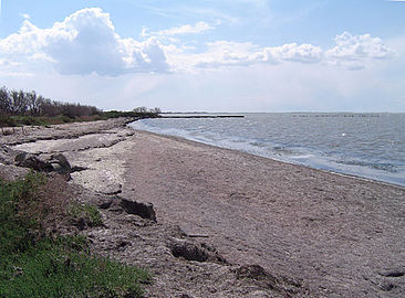 Shoreline of the Étang de Vaccarès.