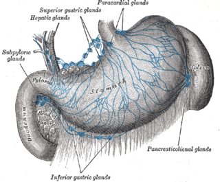 <span class="mw-page-title-main">Celiac lymph nodes</span>