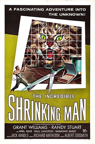 <i>The Incredible Shrinking Man</i> 1957 film by Jack Arnold