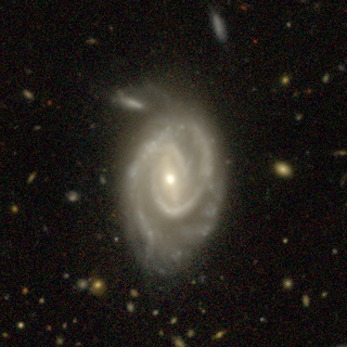 <span class="mw-page-title-main">NGC 334</span> Galaxy in the constellation of Sculptor