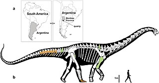 <i>Notocolossus</i> Extinct genus of dinosaurs