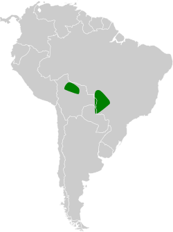 Distribución geográfica del cacholote crestigrís.