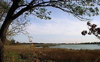 Rice Lake State Park