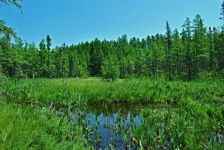 Rice Creek State Natural Area State Natural Area in Vilas County, Wisconsin, United States