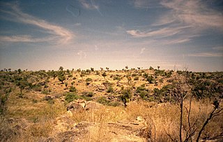 Australian Fossil Mammal Sites (Riversleigh) fossil site in Australia