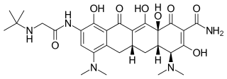 <span class="mw-page-title-main">Tigecycline</span> Chemical compound