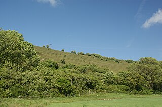 <span class="mw-page-title-main">Arreton Down</span>