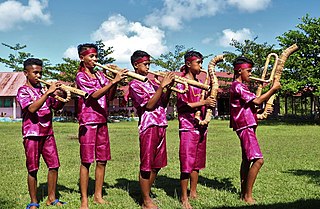 Bamboo musical instruments Musical instruments, commonly flutes, made of bamboo