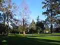 Washington Park, Burlingame