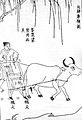 Agricultural seed drill pulled by an ox