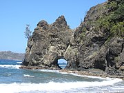 初寝浦海岸南部の海食岸