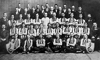 <span class="mw-page-title-main">1902 VFL season</span> Sixth season of the Victorian Football League (VFL)