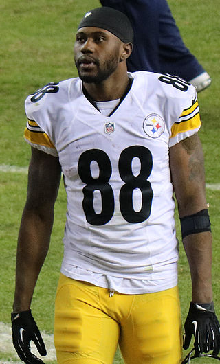 <span class="mw-page-title-main">Darrius Heyward-Bey</span> American football player (born 1987)