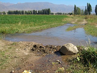 <span class="mw-page-title-main">Agriculture in Kyrgyzstan</span>