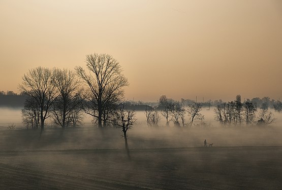 Italië: Parco Agricolo Sud Milano (en)