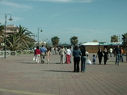 Skyline of Falerna