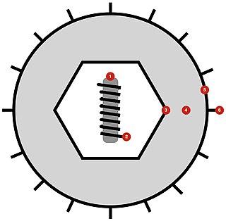 <i>Herpesvirales</i> Order of viruses