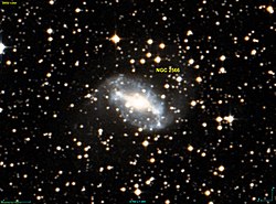 NGC 2566