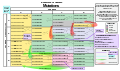 Image 2Selection of disease-causing mutations, in a standard table of the genetic code of amino acids (from Mutation)