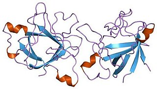 <span class="mw-page-title-main">Interleukin-1 receptor antagonist</span> Protein and coding gene in humans