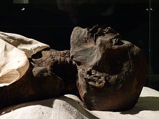 <span class="mw-page-title-main">Mummy</span> Human or animal whose skin and organs have been preserved