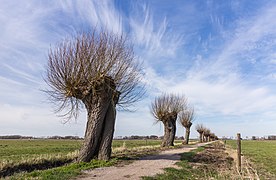 Schokland. UNESCO-Werelderfgoed actm 27