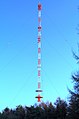 De 220 m hoge radiozendmast Peheim