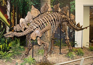 <span class="mw-page-title-main">Dinosaur</span> Archosaurian reptiles that dominated the Mesozoic Era