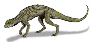 <i>Adamantinasuchus</i> Extinct genus of reptiles