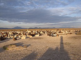 Dipartimento di Oruro – Veduta