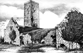 <span class="mw-page-title-main">Canon Island Abbey</span> Historic site in County Clare, Ireland