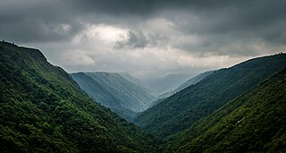 <span class="mw-page-title-main">Meghalaya subtropical forests</span> Ecoregion of India