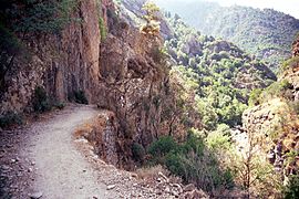 Gorges de Spelunca