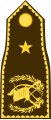 General de brigada (Guatemalan Army)[25]