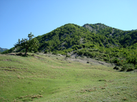 Ismailli Reserve in Azerbaijan Ismaily.png