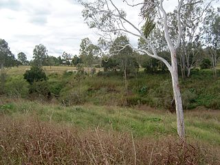 <span class="mw-page-title-main">Lockyer Creek</span> River in Queensland, Australia